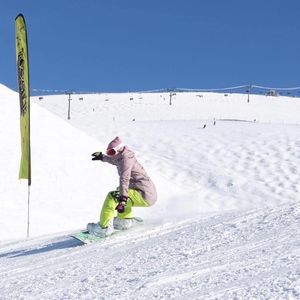 Meet your Posher, Heidi